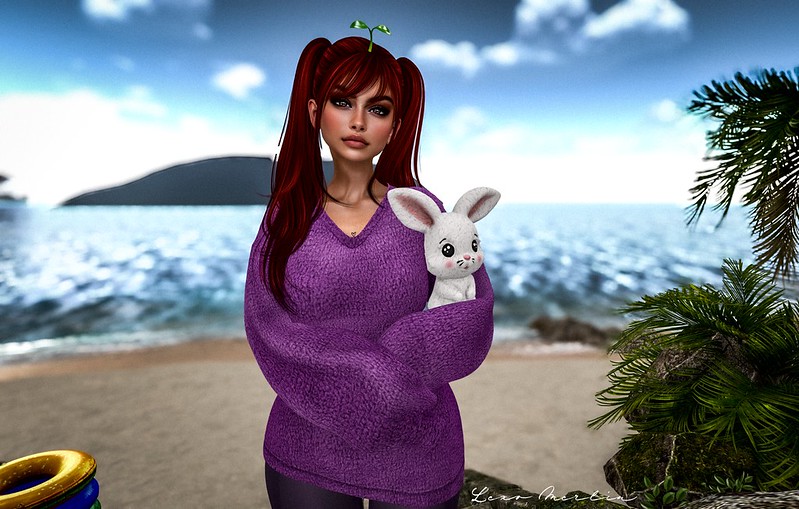 Lex # 5342 – Lexo Merlin
