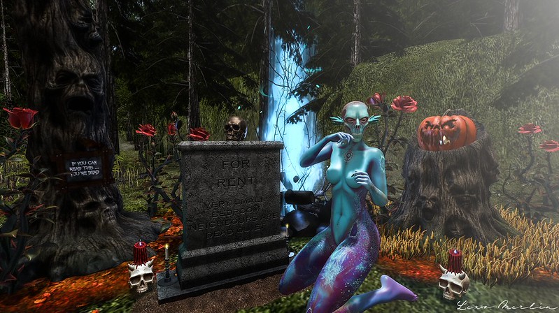 Lex # 5430 – Lexo Merlin