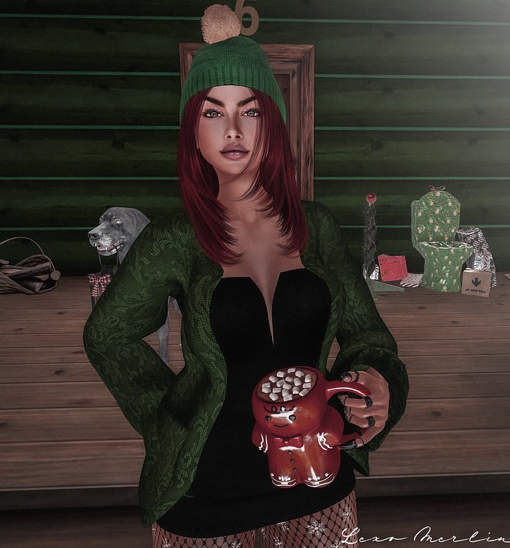 Lex # 5453 – Lexo Merlin