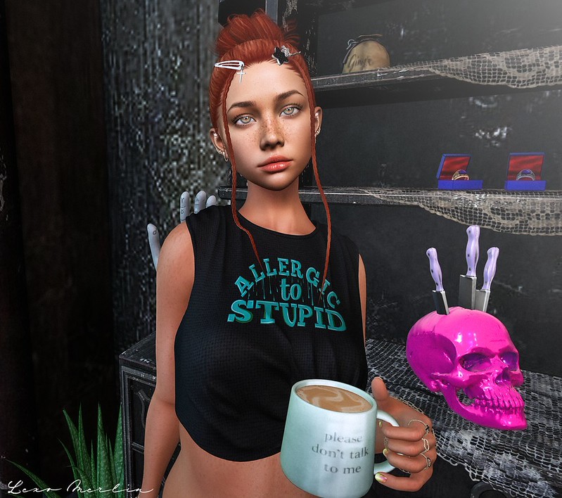 Lex # 5493 – Lexo Merlin