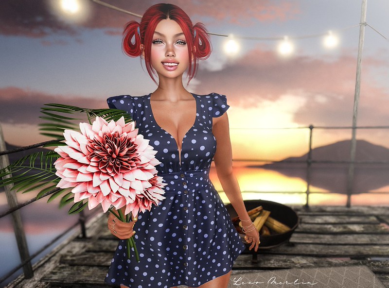 Lex # 5489 – Lexo Merlin